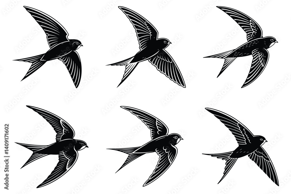 Fototapeta premium Typical swift Bird Silhouette on a white background