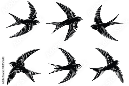Obraz na płótnie Typical swift Bird Silhouette on a white background