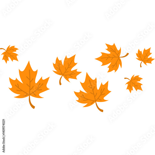 Autumn Maple Leaves Fall
