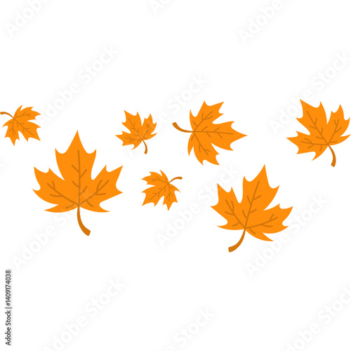 Autumn Maple Leaves Fall