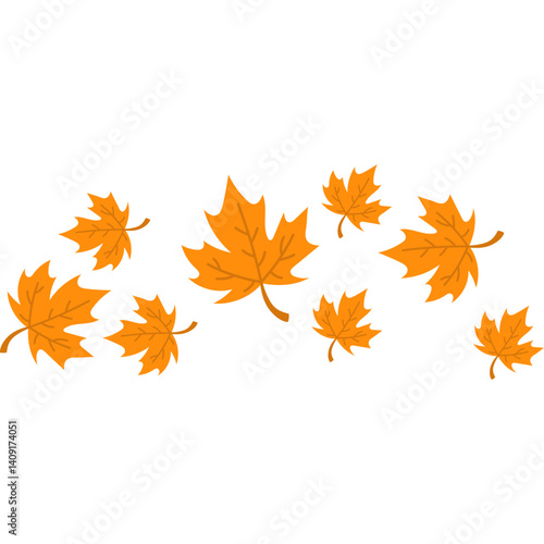 Autumn Maple Leaves Fall