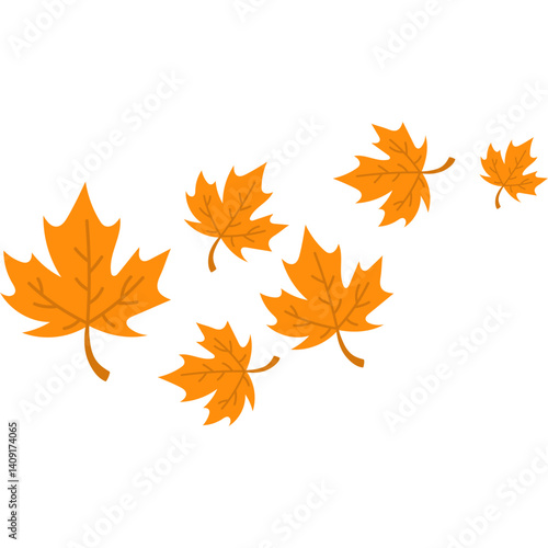 Autumn Maple Leaves Fall