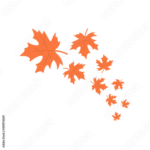 Maple Autumn Leaves