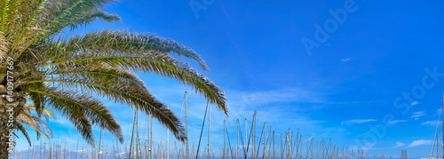 Palm foliage on blue sky background and top of boat mats