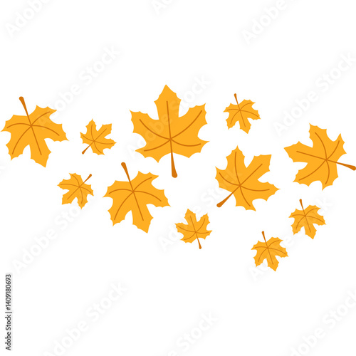 Autumn Maple Leaves Fall