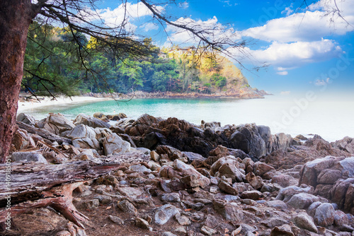 Tree and rock at Banana beach in Phuket Thailand