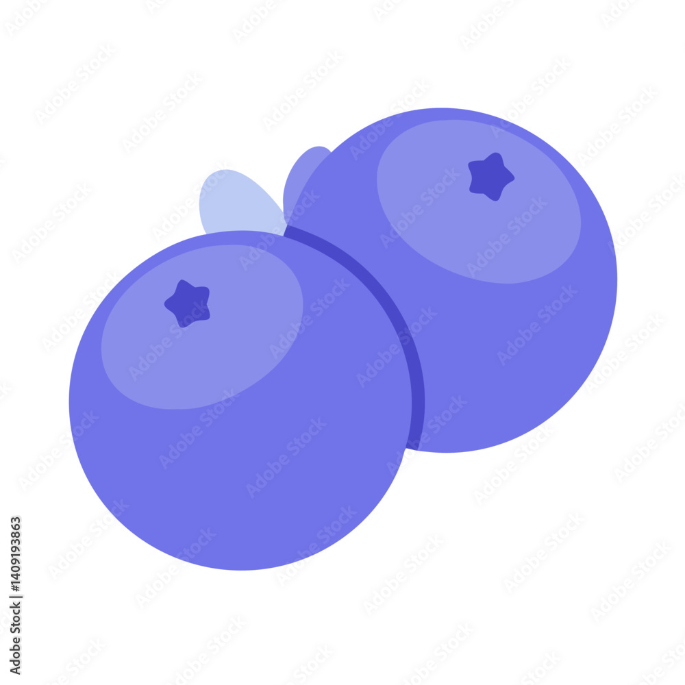 Obraz premium blueberry vector