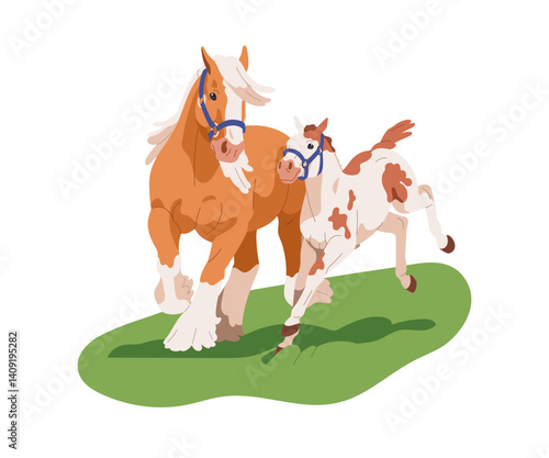 Horses on grass. Thoroughbred mare and cute frolicking foal walking together ...