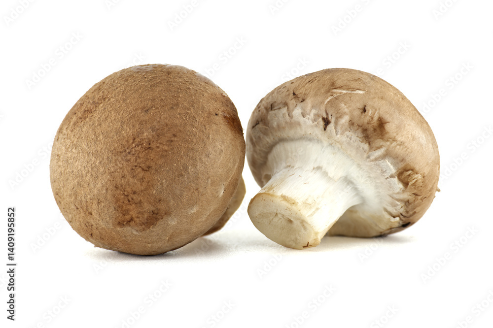 Two fresh cremini mushrooms are arranged closely together on a bright white surface. Two fresh cremini mushrooms are arranged closely together on a bright white surface.