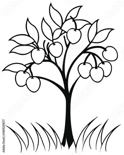 plum tree vector 63.eps, plum tree vector 