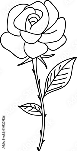 유치원 활짝 핀 장미꽃 라인드로잉 색칠공부(kindergarten rose line drawing coloring)