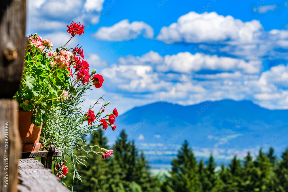 Colorful flowers in a pot overlooking lush mountains and a bright blue sky during a sunny day