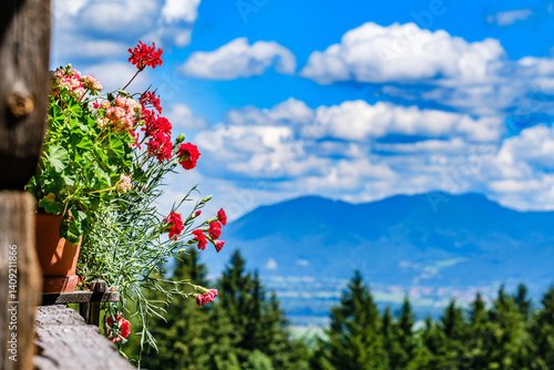 Obraz na płótnie Colorful flowers in a pot overlooking lush mountains and a bright blue sky during a sunny day w salonie