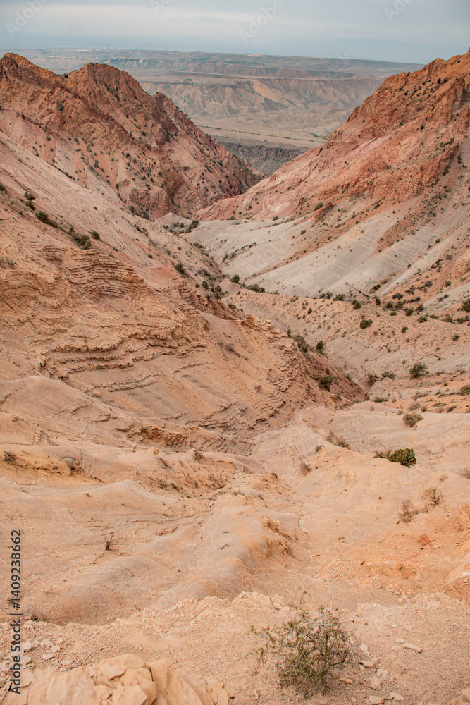 Fototapeta premium red rocks in the canyon