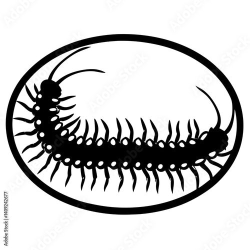 Black and white image of a centipede or millipede within oval border