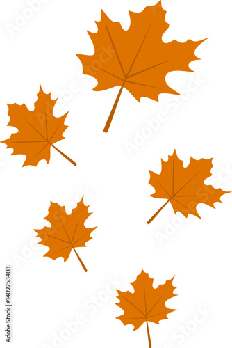 Autumn Maple Leaves Fall