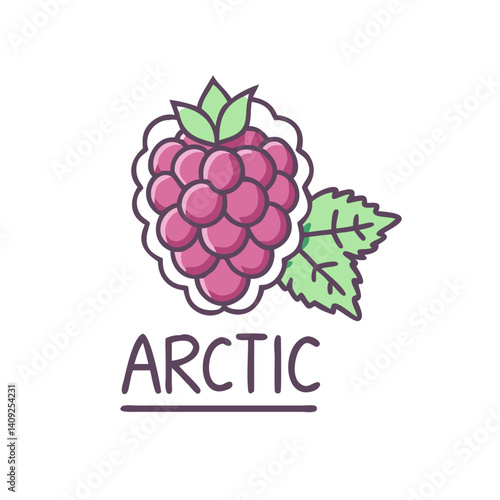 Arctic Raspberry Fruit Illustration with Green Leaves