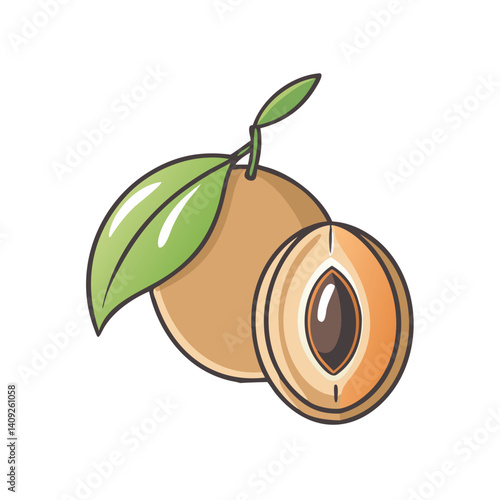 A delicious sapodilla fruit illustration showing a whole sapodilla and a cut sapodilla with a seed