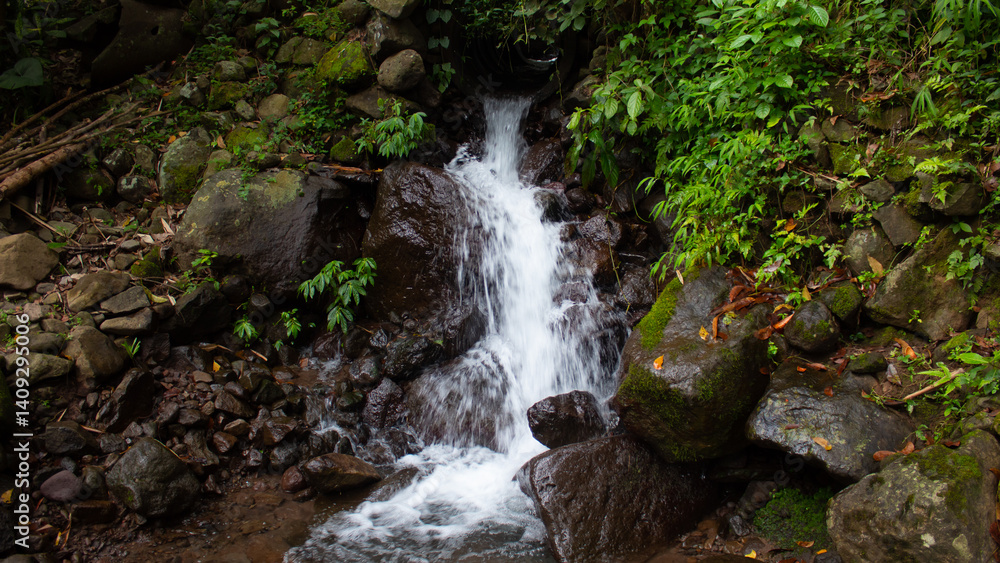 Clear Forest Spring Water in a Lush Forest Environment Clear Forest Spring Water in a Lush Forest Environment