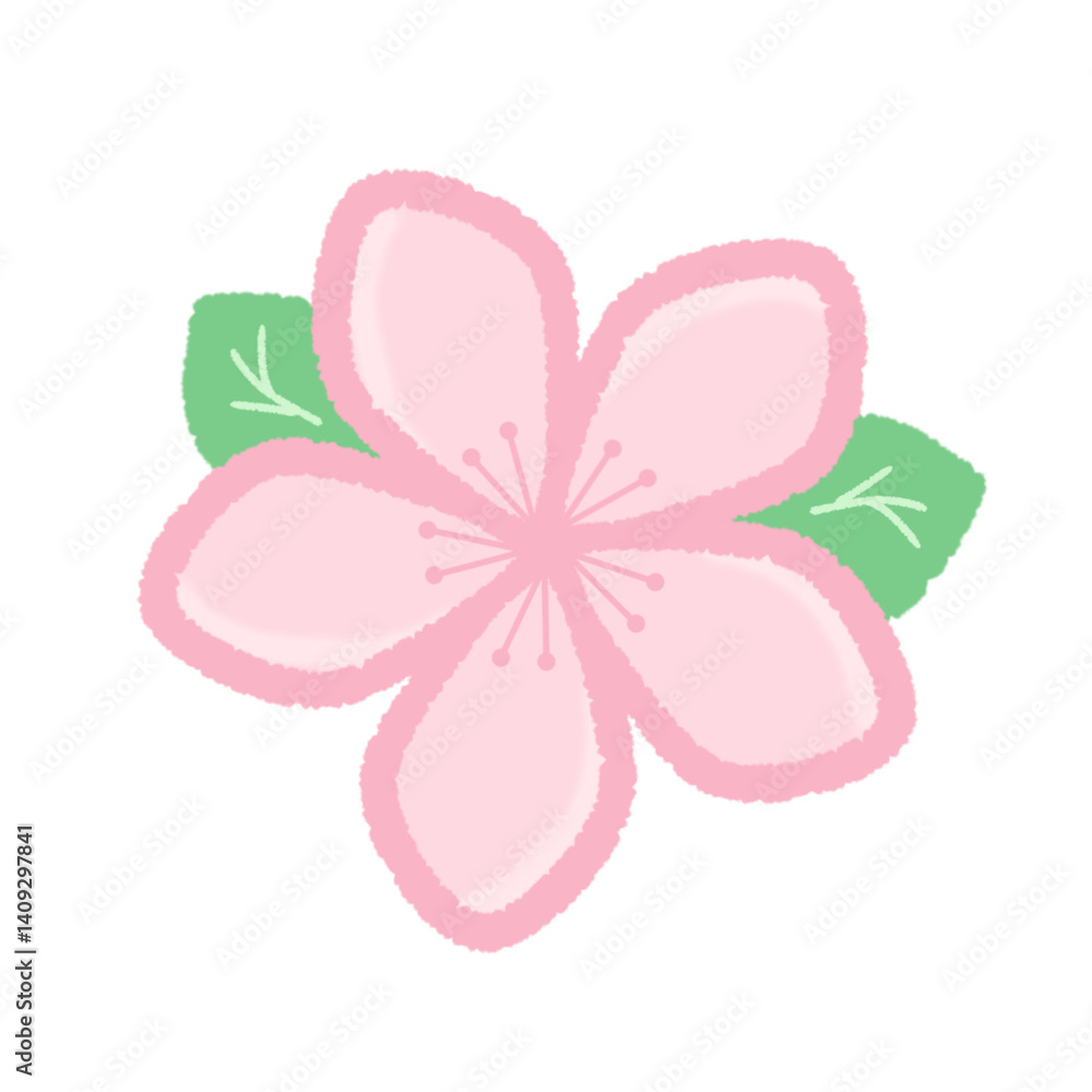 Illustration of cherry blossoms with leaves Illustration of cherry blossoms with leaves