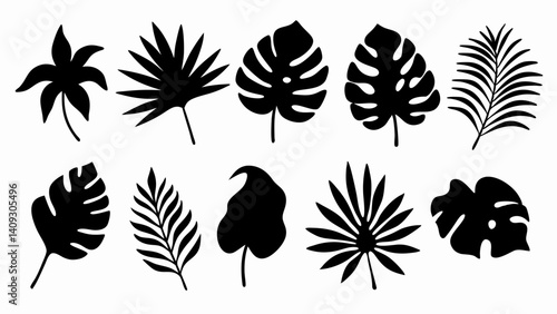  set of Tropical leaves vector silhouette vector