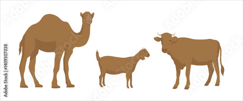 Animal illustration for Eid al-Adha. Muslim community culture vector. Camel, goat and cow illustration.