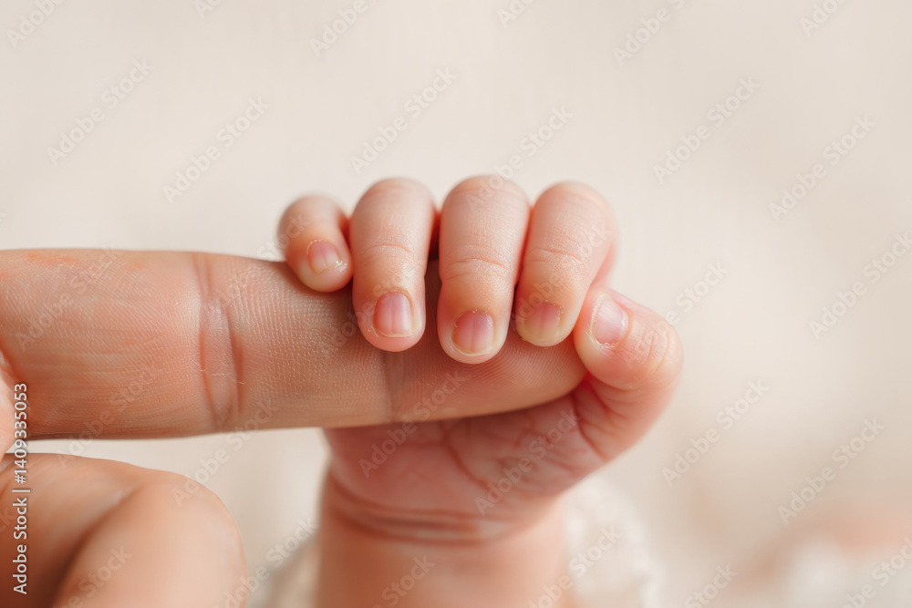 Tender connection: newborn gripping adult finger Tender connection: newborn gripping adult finger