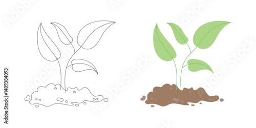 plant, soil, sprout, growth, leaf, agriculture, green, earth, farming, roots, garden, seedling, botany, crop, natural, fresh, climate, ecology, nurture, sustainability, young, cultivation, dirt, garde