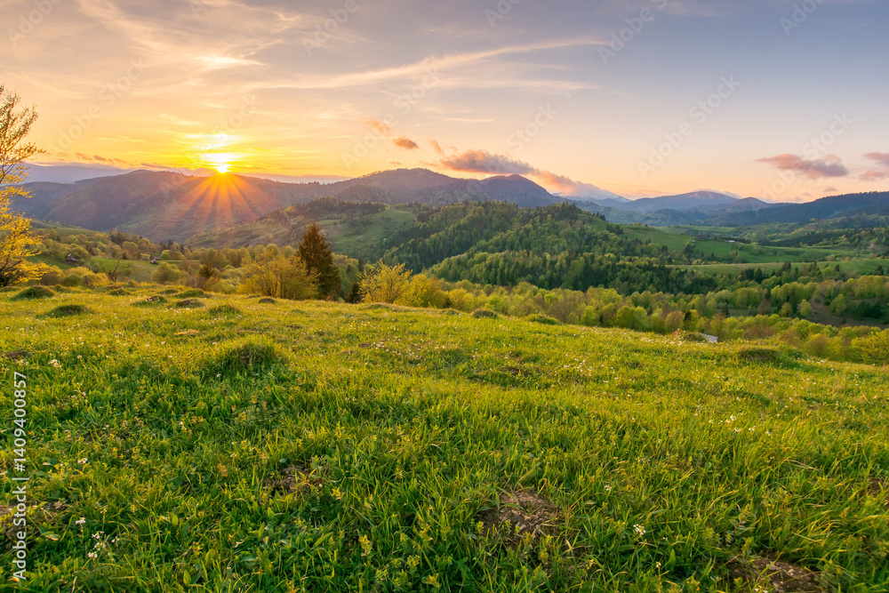 countryside outdoor view in evening light. mountain landscape in spring. rural nature background with green meadow and forest on the hill under clouds on sky
