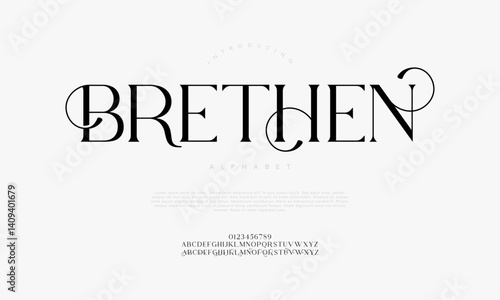 Elegant Swash Serif Font Vector for Modern Luxury Branding and Editorial Design