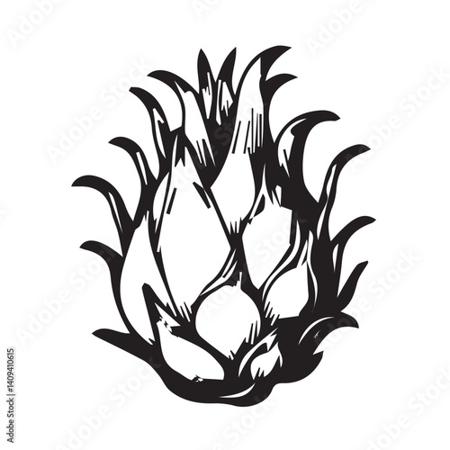 Vector Illustration of Dragon Fruit