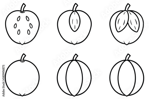 sapodilla line art detailed black and white drawing