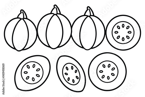 sapodilla line art elegant black ink on white paper