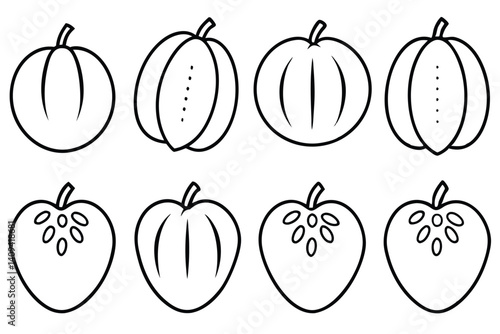 sapodilla line art nature inspired line drawing artwork