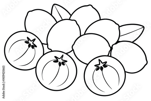 sapodilla line art simple clean vector illustration