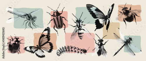 Vintage butterfly, wasp, bumblebee, dragonfly, fly texture with grunge halftone effect. Vector retro insect collage art in pastel colors.