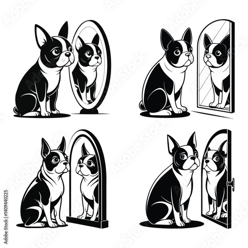 Boston Terrier dog sitting
