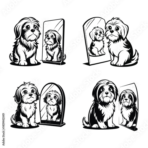 Shih Tzu dog sitting