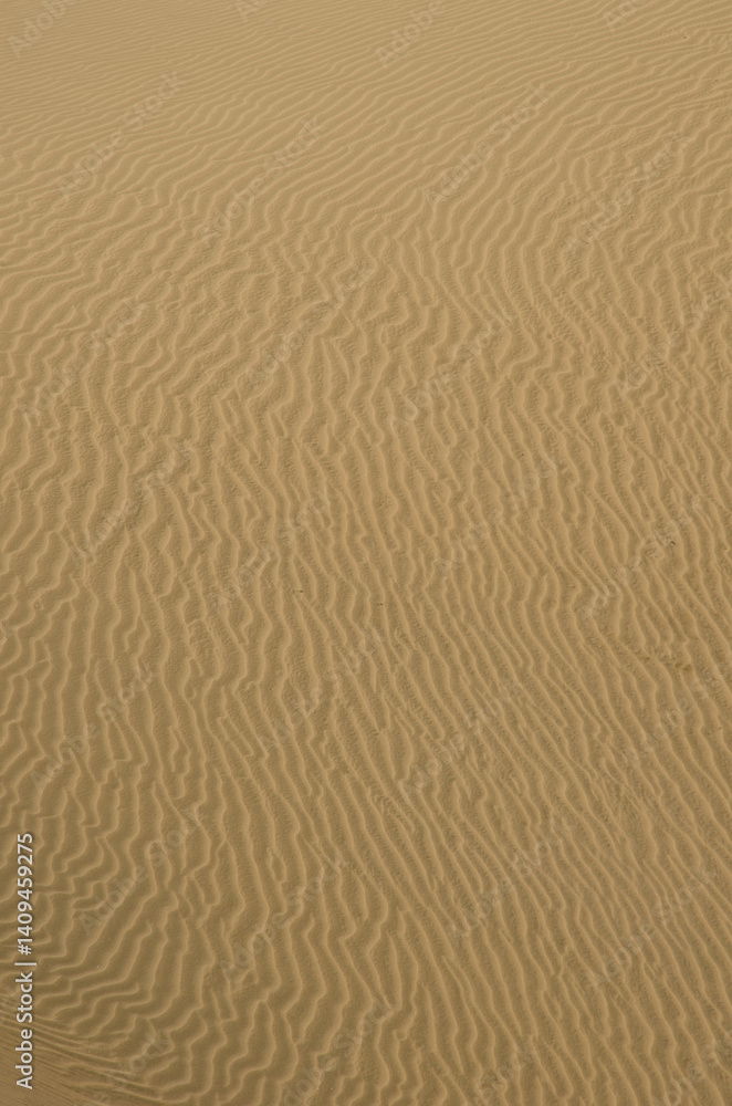 Detail of a dune. Special Natural Reserve of the Maspalomas Dunes. Maspalomas. Gran Canaria. Canary Islands. Spain. Detail of a dune. Special Natural Reserve of the Maspalomas Dunes. Maspalomas. Gran Canaria. Canary Islands. Spain.