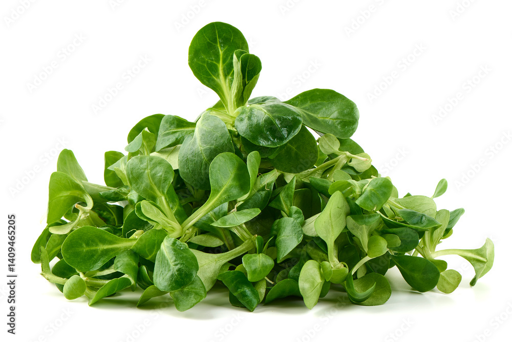 Lambs lettuce, corn salad, isolated on white background.