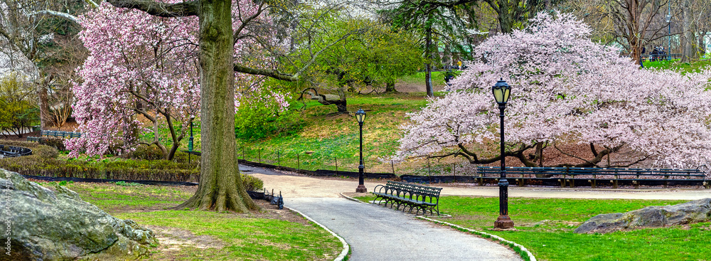 Central Park in spring