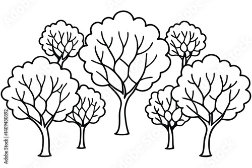 hackberry line art artistic representation of tree branches