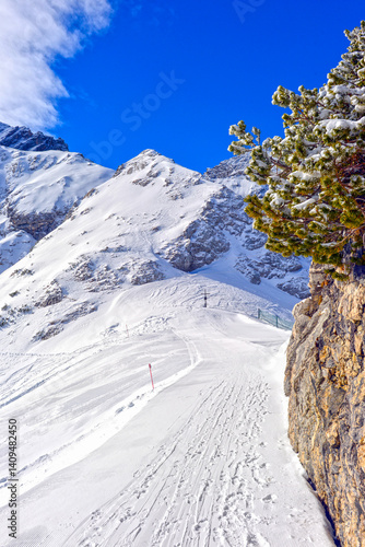 Obraz na płótnie Skigebiet am Osterfelderkopf bei Garmisch-Partenkirchen (Bayern) w salonie