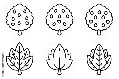 hackberry line art nature inspired decorative wall hanging