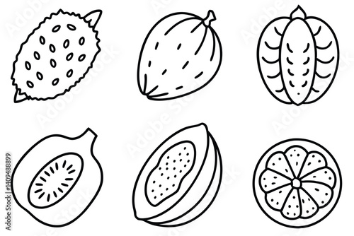 hala fruit line art intricate design with clean lines