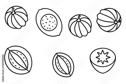 hala fruit line art simple and elegant design