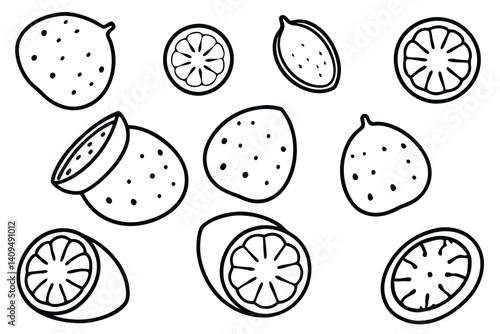 hala fruit line art unique fruit design for decor