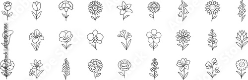 Flower line icon set. Vector pictograms of rose, tulip, daisy, orchid, sunflower, peony, gladiolus, snapdragon, stock, delphinium, thin linear illustration.