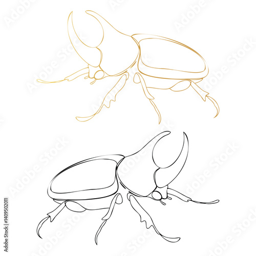 vector illustration of a beetle