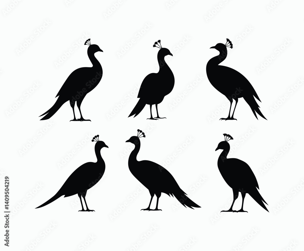 Obraz premium Simple Peacock Silhouette Collection Vector Template
